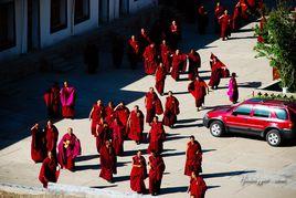 拉卜愣寺廟會 拉卜愣寺廟會