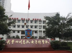 武警四川省總隊女子特警隊 武警四川省總隊女子特警隊