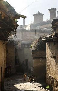 南城子村 南城子村