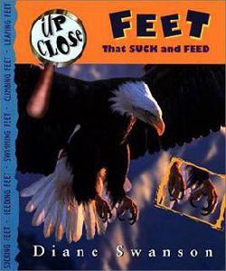 美國白頭鷹Feet That Suck and Feed