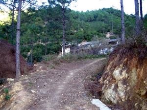 東河沖村 東河沖村