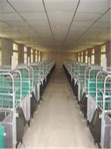 養豬設備 養豬設備