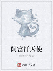 阿富汗天使 阿富汗天使