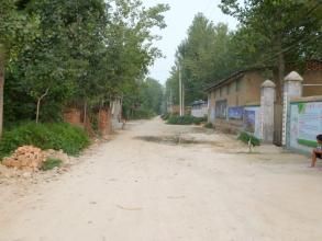 張橋村[江蘇省泰州市姜堰市張甸鎮]