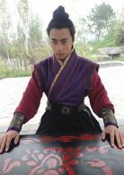 羋月傳[2015年鄭曉龍執導電視劇]