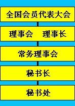 中國化學會組織結構