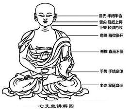 七支坐法 七支坐法