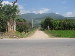 （圖）進村道路