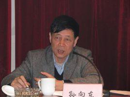 孫向東[武漢紡織大學化學與化工學院教師]