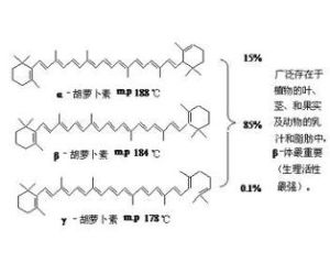 萜類化合物 萜類化合物