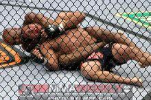 安德森·席爾瓦[巴西演員、拳手]