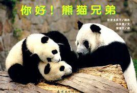 你好!熊貓兄弟 你好!熊貓兄弟