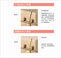 皮膚乾燥