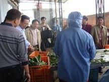 人大代表在車間檢查