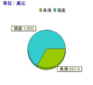 資產負債比 資產負債比