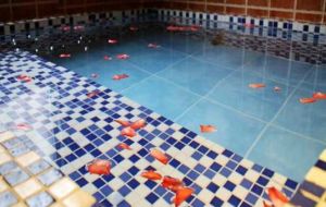 金谷園山莊 金谷園山莊