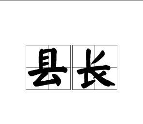 縣長 縣長
