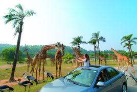 長隆野生動物世界