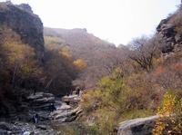 哈達門高原牧場 哈達門高原牧場