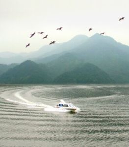 白鷺湖國家森林公園 白鷺湖國家森林公園