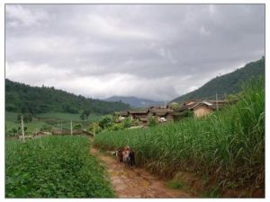 大窪迤自然村 大窪迤自然村