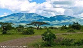 塞倫蓋蒂草原[塞倫蓋蒂草原]