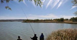 沙廠水庫 沙廠水庫