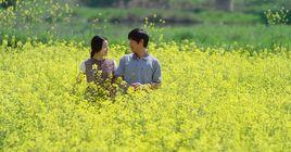 萊娜[2016年韓國電影]