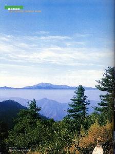 濟南市跑馬嶺野生動物世界