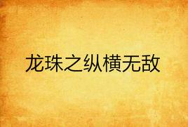 龍珠之縱橫無敵