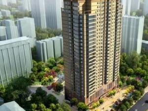 凱地華麗家族 凱地華麗家族