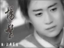 楊繁（吳京飾）