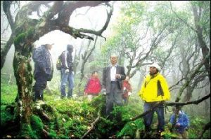 神農架野人考察研究會 神農架野人考察研究會