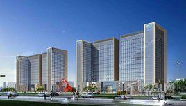 長江道壹號 長江道壹號