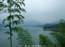 泉水灣風景區 泉水灣風景區