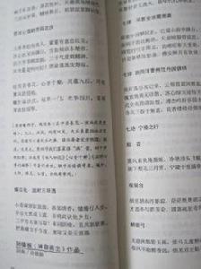 游菏澤曹州牡丹園