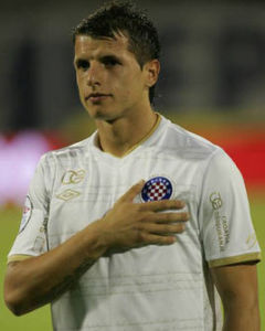 阿納斯·沙爾比尼 阿納斯·沙爾比尼