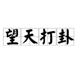 望天打卦[漢語詞語]