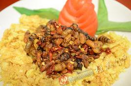 黃金蜂蛹 黃金蜂蛹