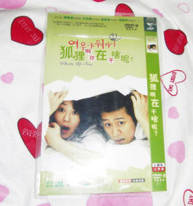 《狐狸呀，你在做什麼》