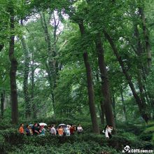 老山國家森林公園
