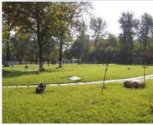 西北科技大學 西北科技大學