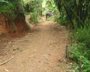 箐底自然村 箐底自然村