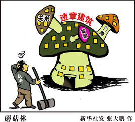 違章建築 違章建築