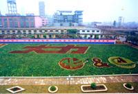 柳州化工股份有限公司 柳州化工股份有限公司