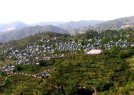 橋南村[湖北省羅田縣鳳山鎮橋南村]