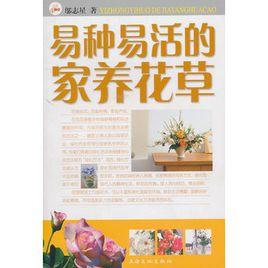 易種易活的家養花草