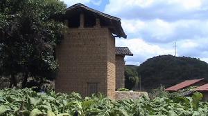 魁廟自然村烤菸