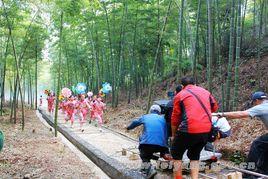 千年萬年的竹海 千年萬年的竹海