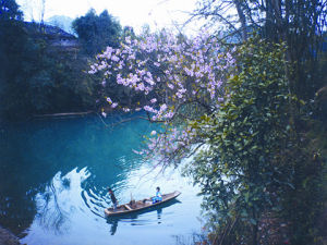 謝橋街道辦事處